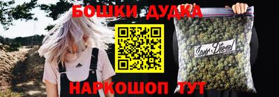 индика Дубна