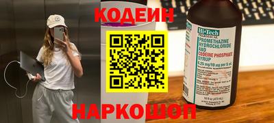 индика Дубна